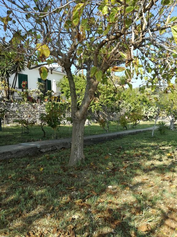 Villa Ninetta-Isabella Gaeta Dış mekan fotoğraf